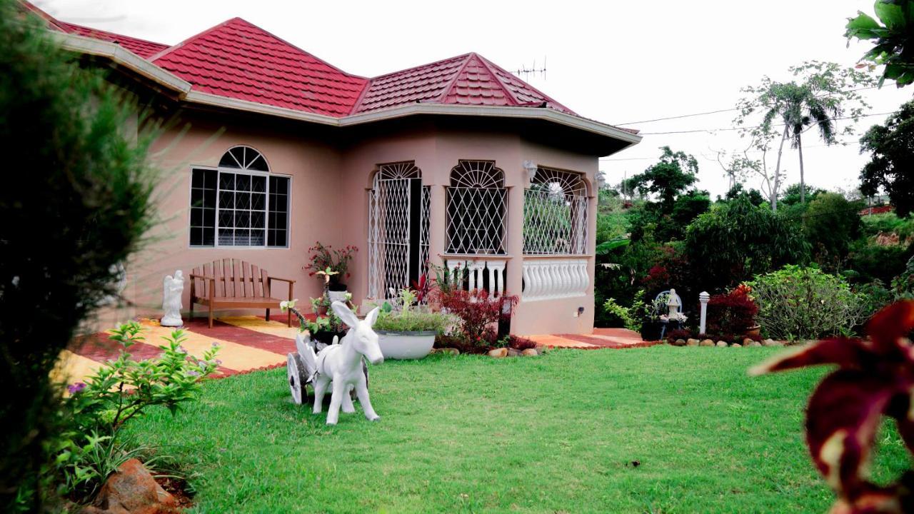 Villa Cliffe Ranch Mandeville Exterior foto
